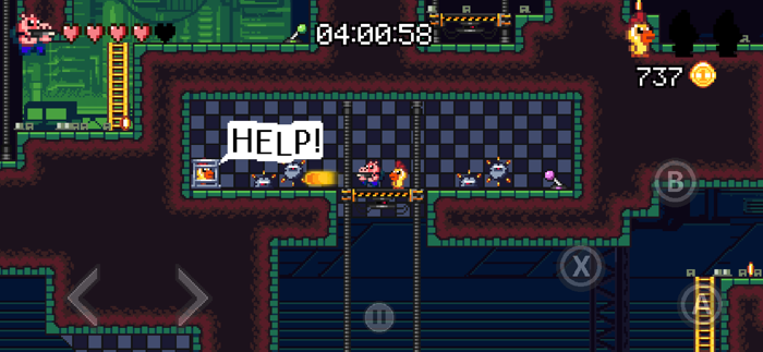 Ammo Pigs Cocked and Loaded