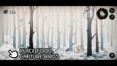 Bird's Forest Screenshot