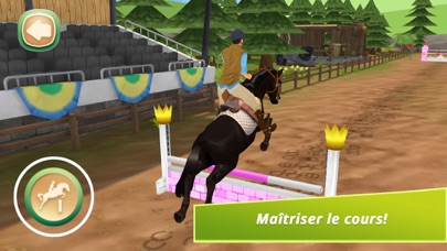 Screenshot #3 pour Horse Hotel Premium