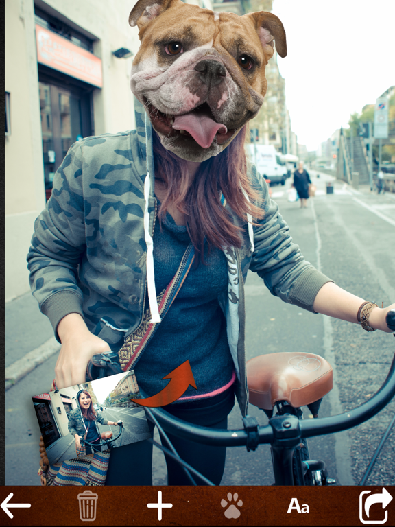 Screenshot #4 pour Animaux Photomaton