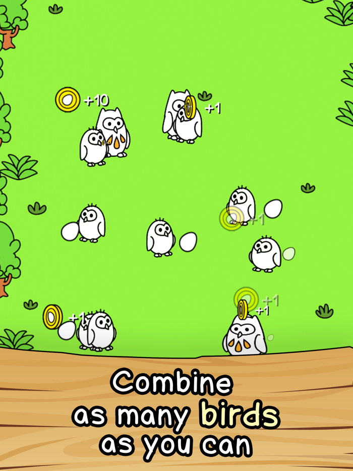 Birds Evolution Merge