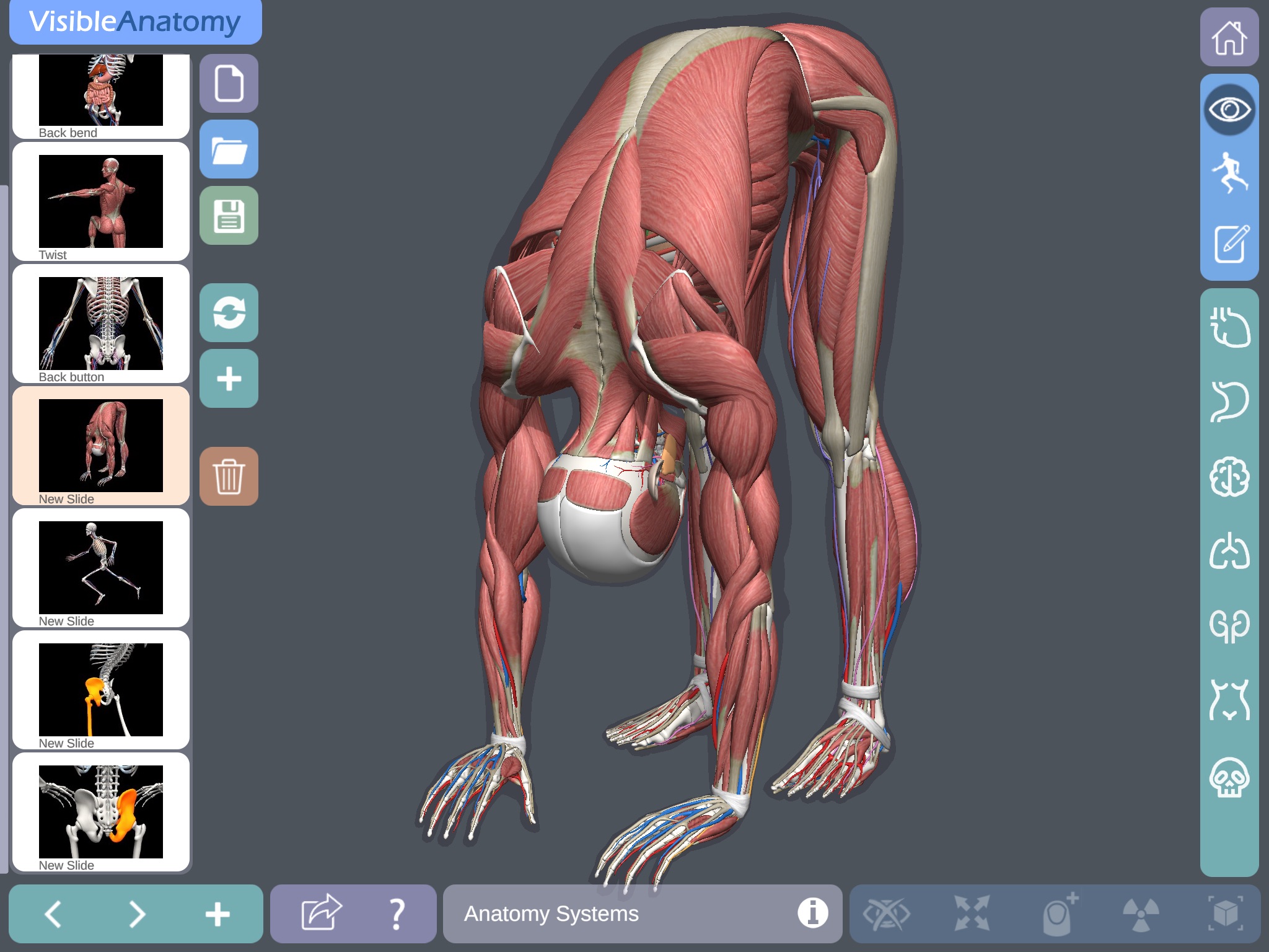 Visible Anatomy screenshot 2