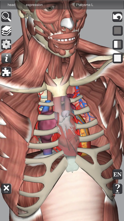 3D Anatomy Learning screenshot-7