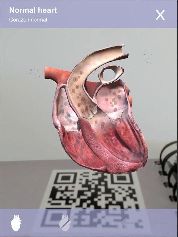 Screenshot #6 pour Cardiology 3D Small Animals