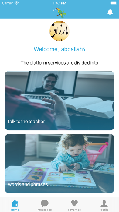 English Bulbul بلبل الإنجليزية Screenshot