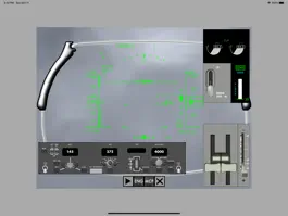 Game screenshot HUD RAW ILS apk