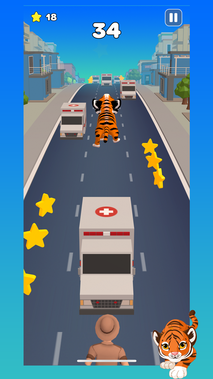 3D Tiger Run