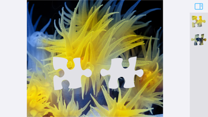 Jigsaw Puzzles Underwater Screenshot