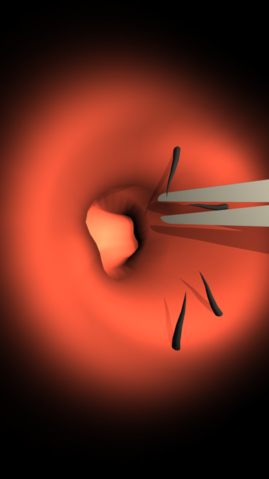 Endoscope cleaning ear Screenshot