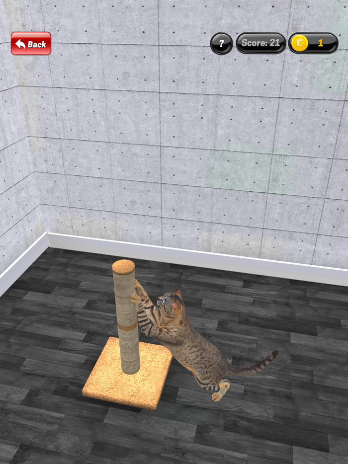 My Kitten Cat Simulator
