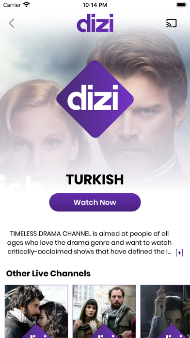 Dizi Channel: Series & Drama Screenshot
