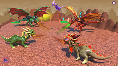 Flying Dragon City Attack Screenshot