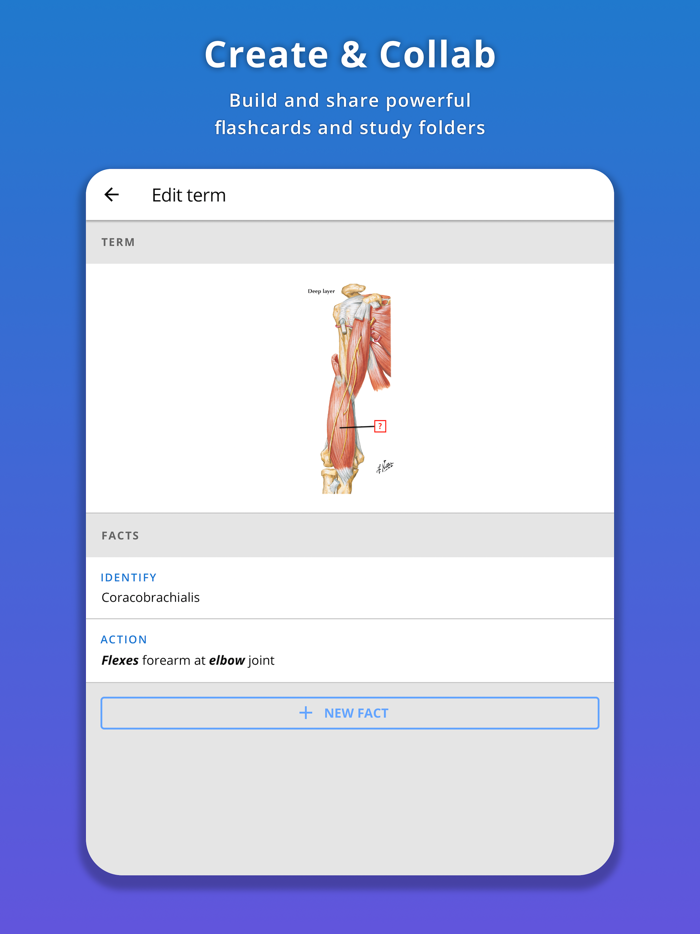Memorang Flashcards and Quizzes
