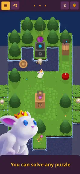 Game screenshot King Rabbit - Puzzle mod apk