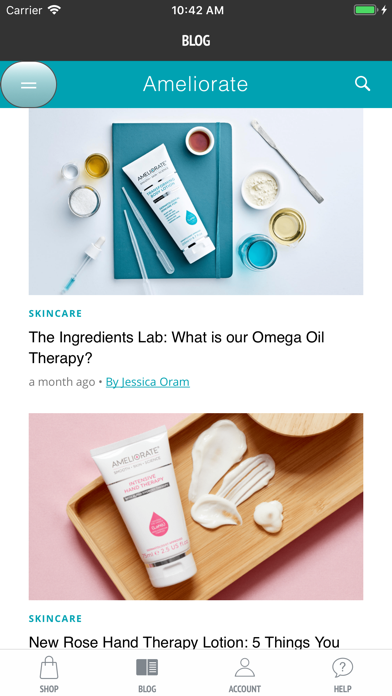 Ameliorate Screenshot