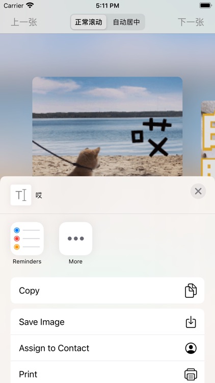 柴犬日常-闪挣