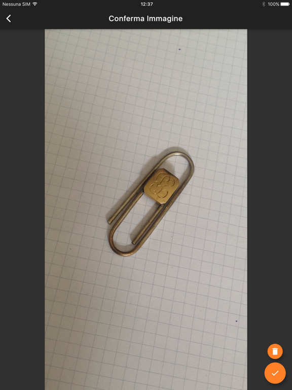 Screenshot #4 pour Ellisse Camera