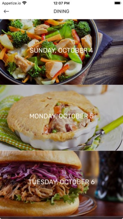 Grand Villa of St. Petersburg