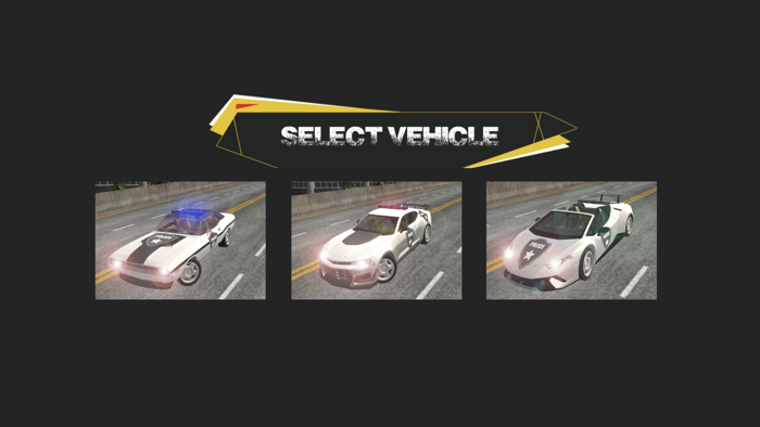 Police Car Thief Chase City in