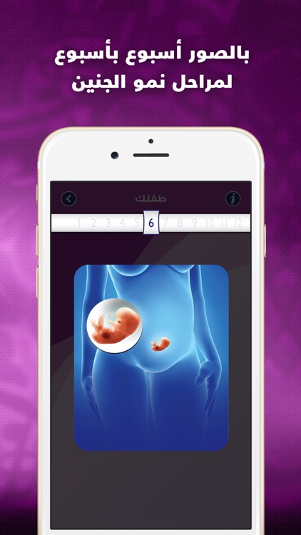 انت والحمل دليل الام الحامل