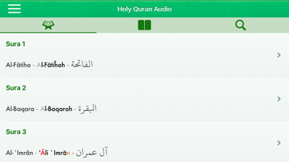 Quran Audio Pro Italian Arabic Screenshot