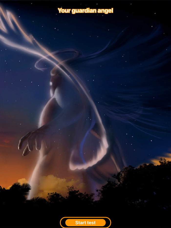 Guardian Angel Test