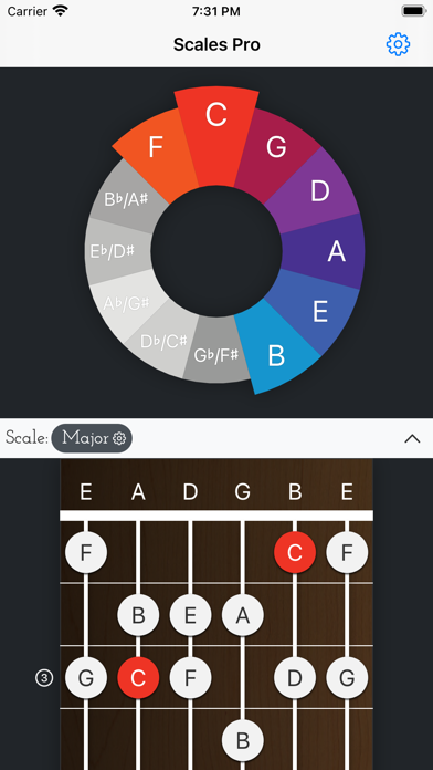 Scales Pro - Chords & Scales Screenshot