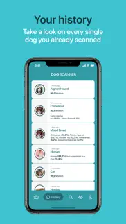 dog scanner problems & solutions and troubleshooting guide - 3