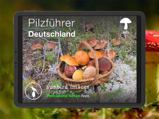 Screenshot #4 pour Pilzführer Deutschland, Pilze!
