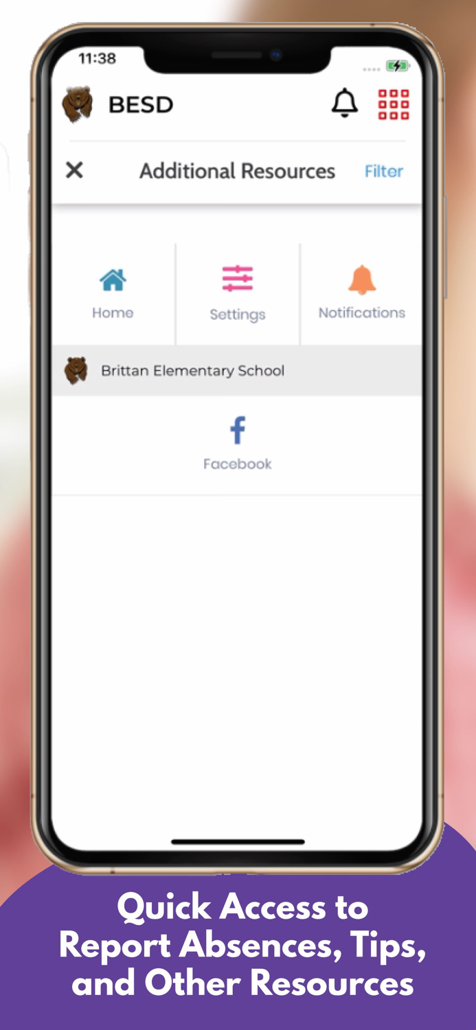 Brittan School District