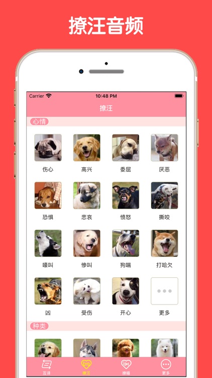 猫狗翻译官-人狗猫交流翻译器 screenshot-3