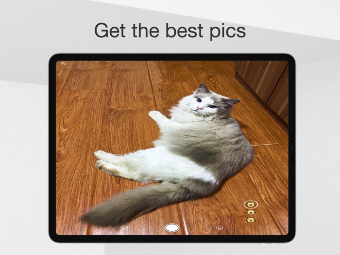 MeowCam-Play sound attract pet