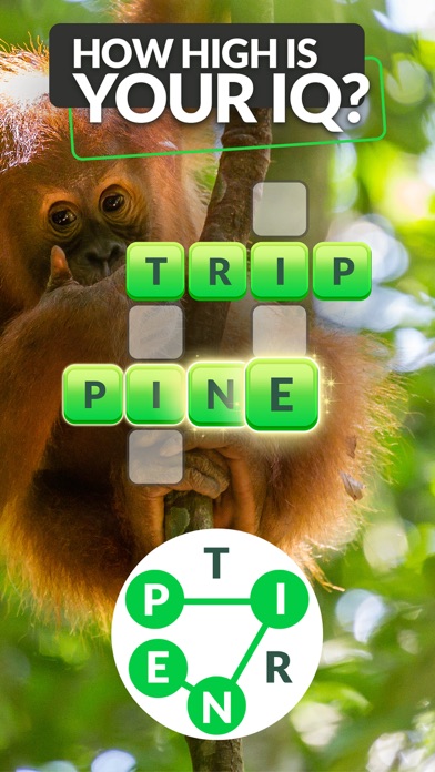 Words and Animals - Crosswords