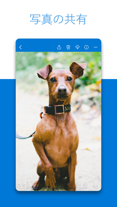 Microsoft OneDrive screenshot1