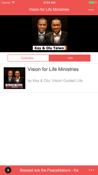 Kay and Olu Taiwo: Vision Life screenshot 2