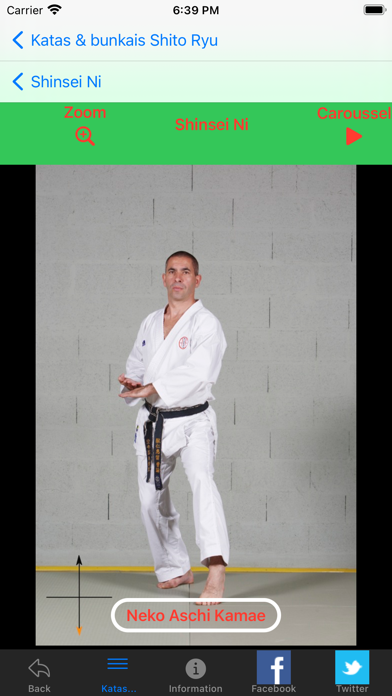 KARATE SHITO-RYU1 Screenshot