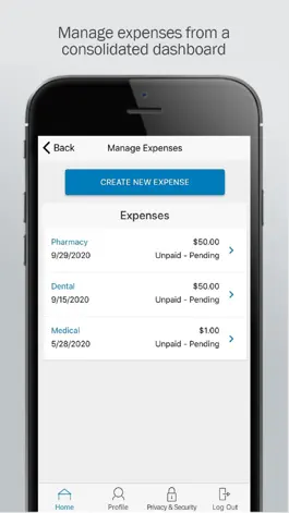 Game screenshot Avera Health Plans MyFlexPlan hack