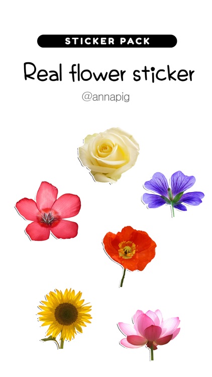 Real flower sticker