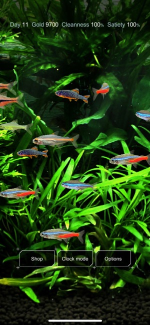 迷你水族：熱帶魚缸(圖1)-速報App