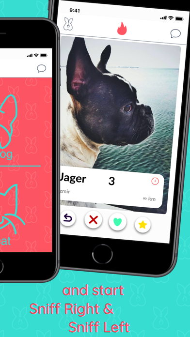 Hot-Pet Screenshot