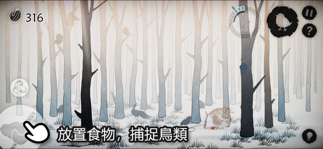 ‎森鳥畫語(Bird's Forest) Screenshot