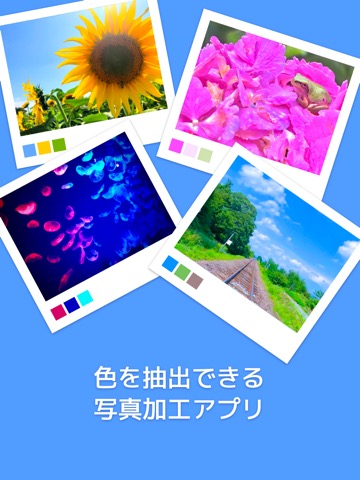 Picolor - 色を抽出できる写真加工アプリのおすすめ画像2