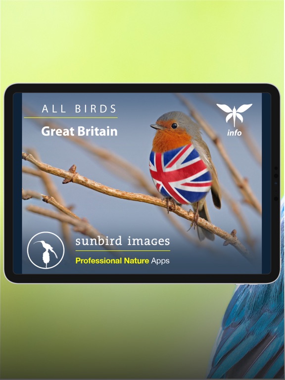 Screenshot #4 pour All Birds UK - the Photo Guide