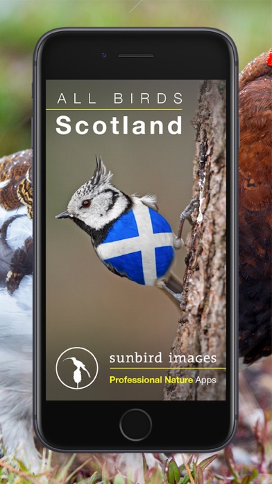 Screenshot #1 pour All Birds Scotland Photo Guide