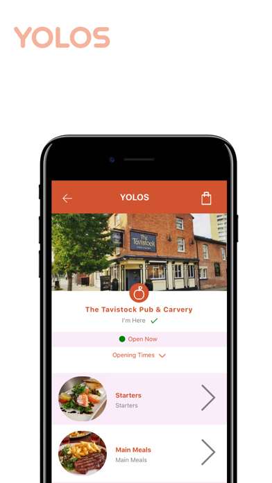 YOLOS Screenshot