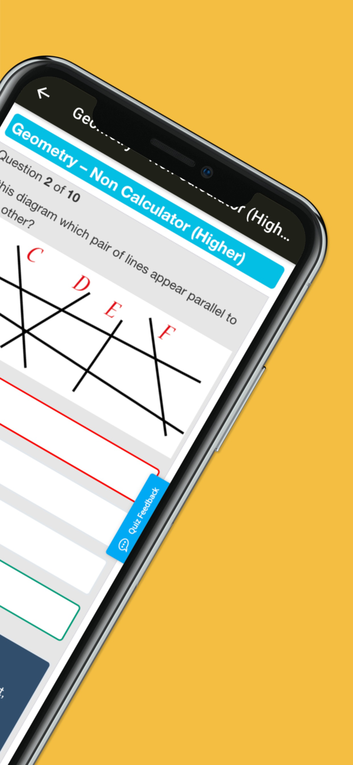 GCSE Revision Buddies