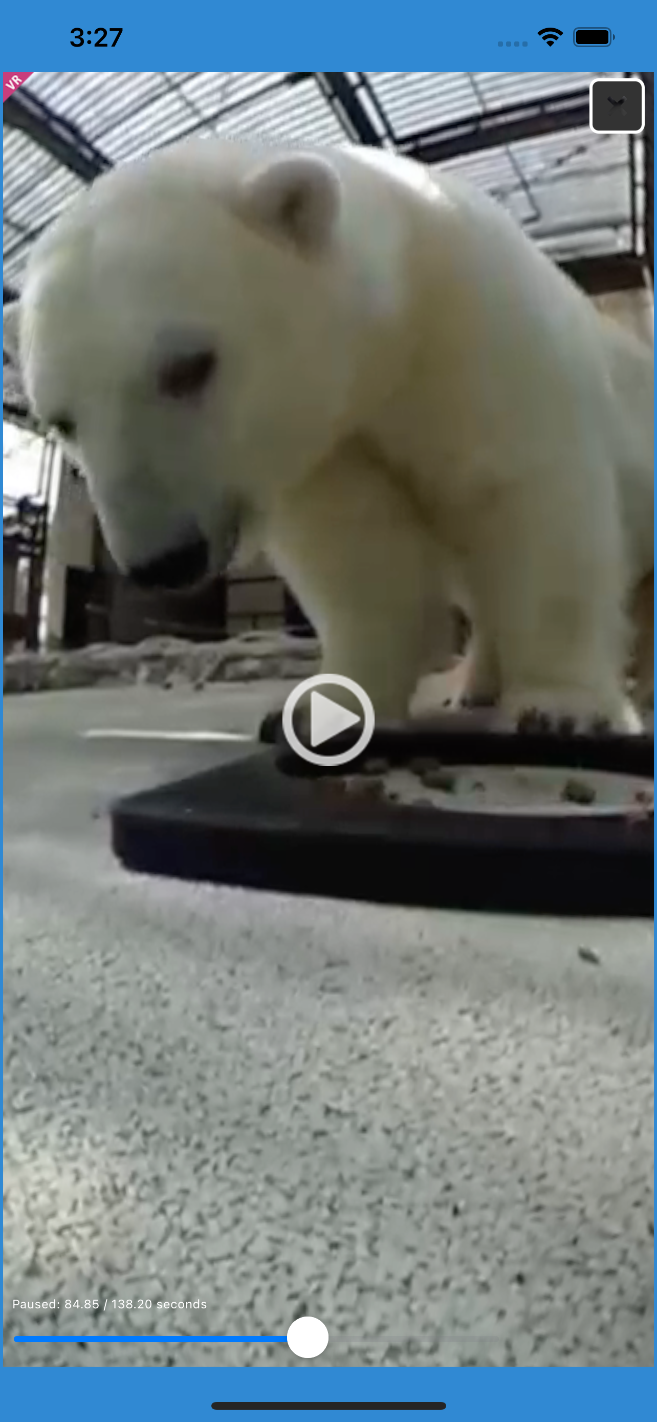 i 動物園 for とべ動物園