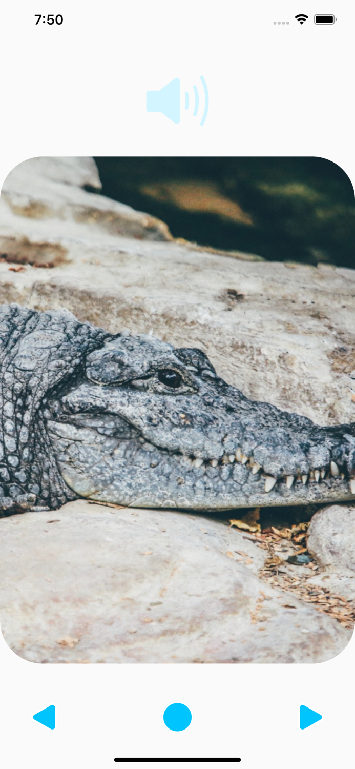 Animal Sounds Player