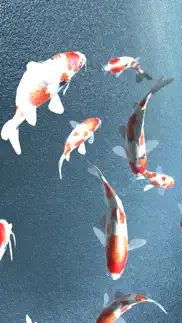 koi - aquarium iphone screenshot 1