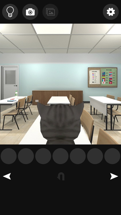 Cat's treats Detective11